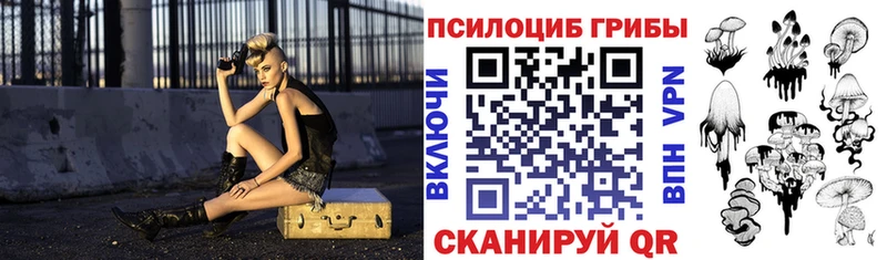 Галлюциногенные грибы Psilocybine cubensis  Емва 